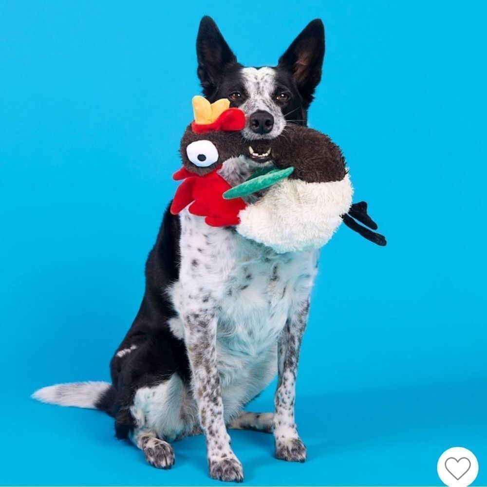 BARK Cockk-a-Doodle-Chew Brown Red Yellow White Green Beige Rooster Dog Toy - Picture 5 of 16